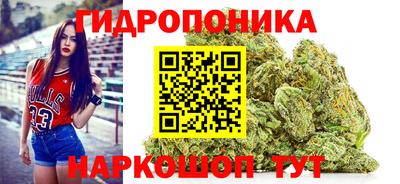 ГАЛЛЮЦИНОГЕННЫЕ ГРИБЫ Новозыбков