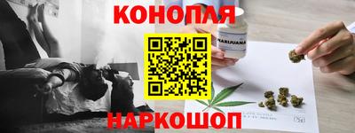 гашик Новокубанск