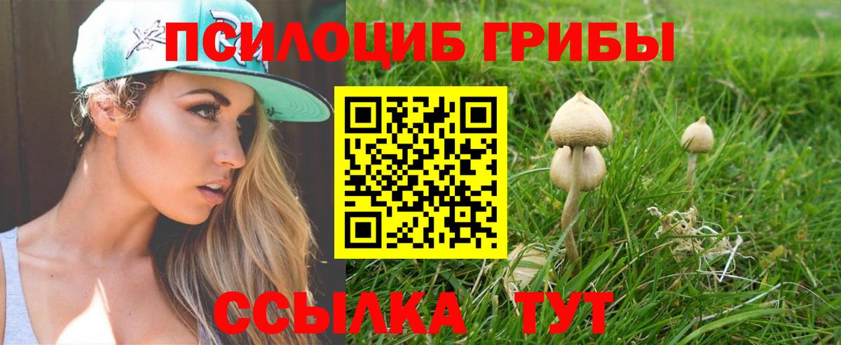 Псилоцибиновые грибы Psilocybine cubensis  Вход с VPN  Псилоцибиновые грибы Psilocybine cubensis  Рузаевка 