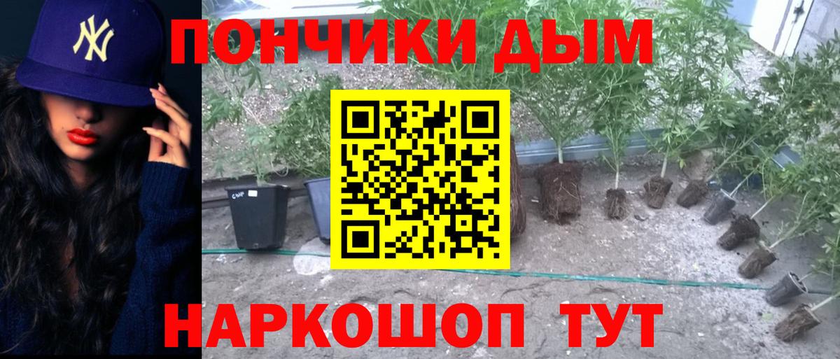 Бошки Шишки White Widow  Бошки Шишки конопля  Вход с VPN  Рузаевка  Бошки Шишки Bruce Banner 
